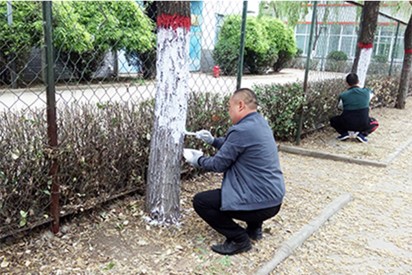 科海集團(tuán)“美化環(huán)境保護(hù)樹木”活動紀(jì)實(shí) 科海集團(tuán)“美化環(huán)境保護(hù)樹木”活動紀(jì)實(shí)